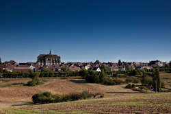 photo Vendanges oenotouristiques du Clos du Roi