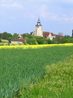 photo Randonnée pédestre et tartiflette