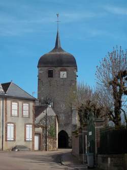 photo Balade Mycologique en Puisaye