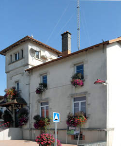 photo Serveur / Serveuse en restauration