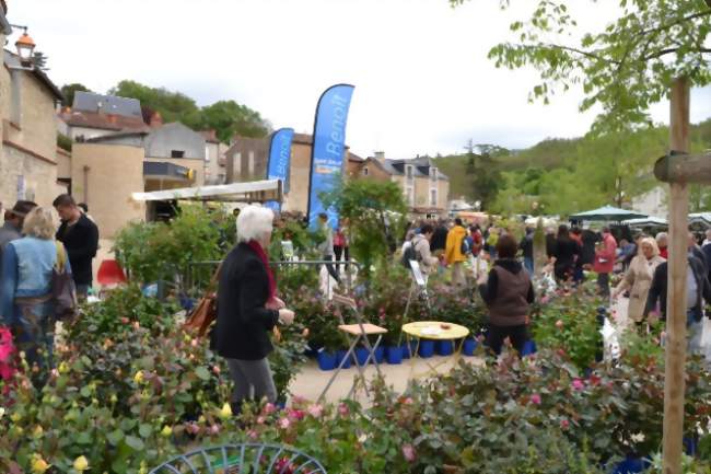 Le marché aux Fleurs de Saint-Benoit