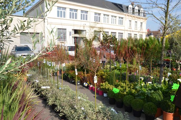 Foire aux arbres et aux plantes