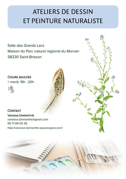 Cours De Dessin Et Peinture Naturaliste A La Maison Du Parc Naturel Regional Du Morvan Saint Brisson 58230 Artisanat