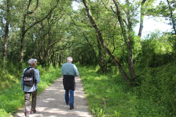 Observatoire Participatif Bocage