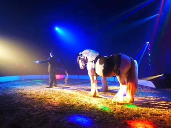 Cirque Pascal Fratellini à Chalon-Sur-Saone (71)