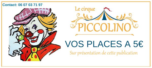 Spectacle du cirque Piccolino à Lavoux