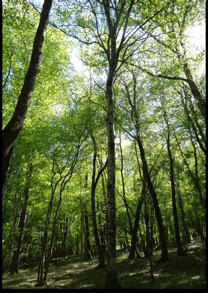 Les invisibles du sol à Peyssac