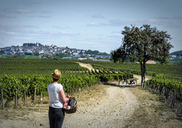 Château de Sancerre « Le Vignoble à vélo »