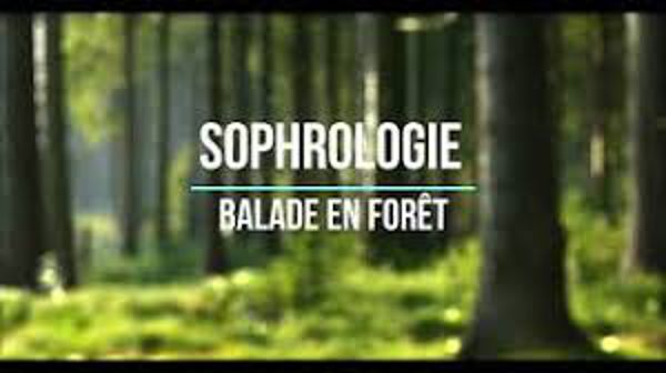 Marche sophrologique à Chambon-la-Forêt