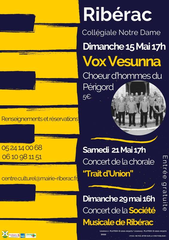 Concert Vox Vesuna