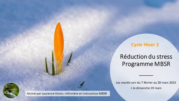 Programme de réduction du stress MBSR 8 semaines