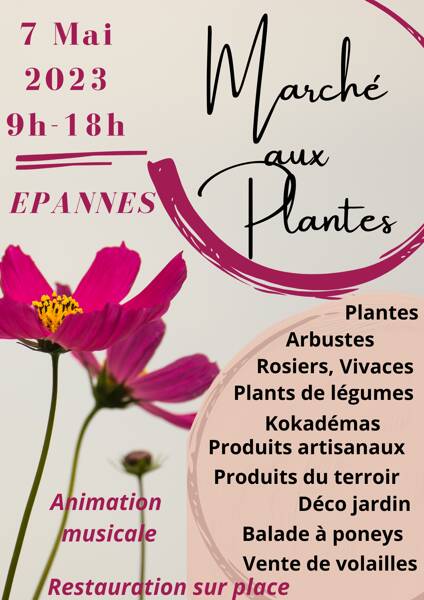 MARCHE AUX PLANTES