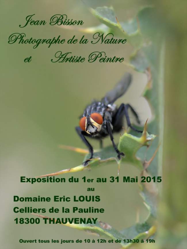 Exposition au domaine Eric Louis