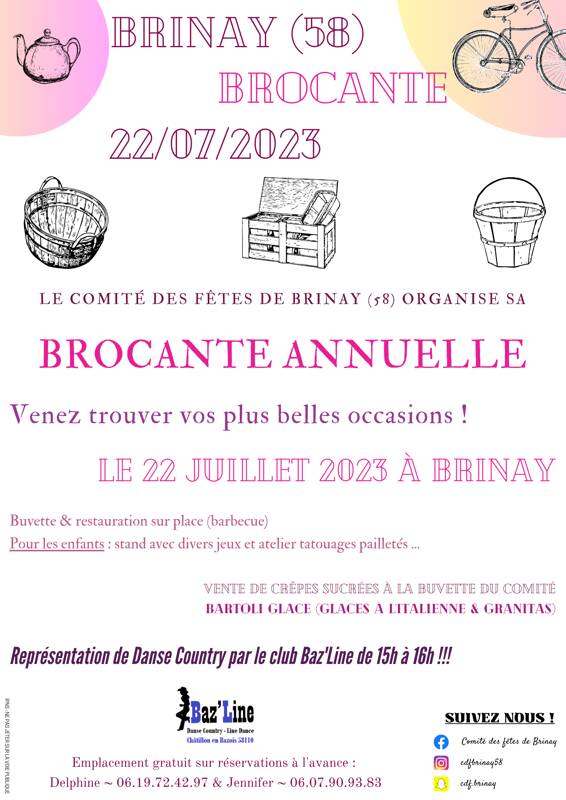 Brocante de Brinay (58)