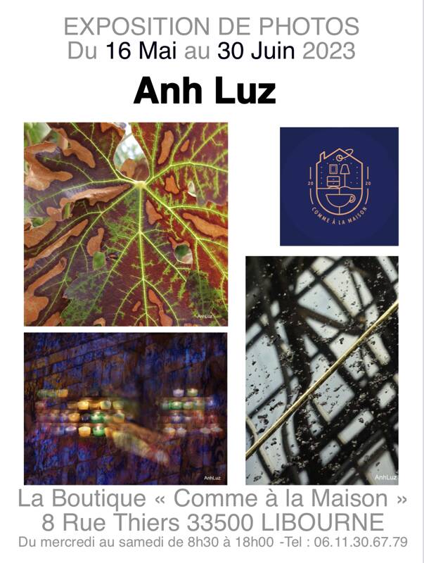 Anh Luz exposition photo