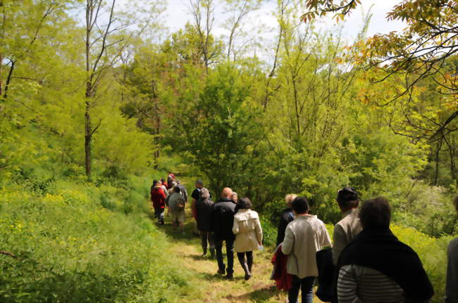 Inspecteurs de la Nature