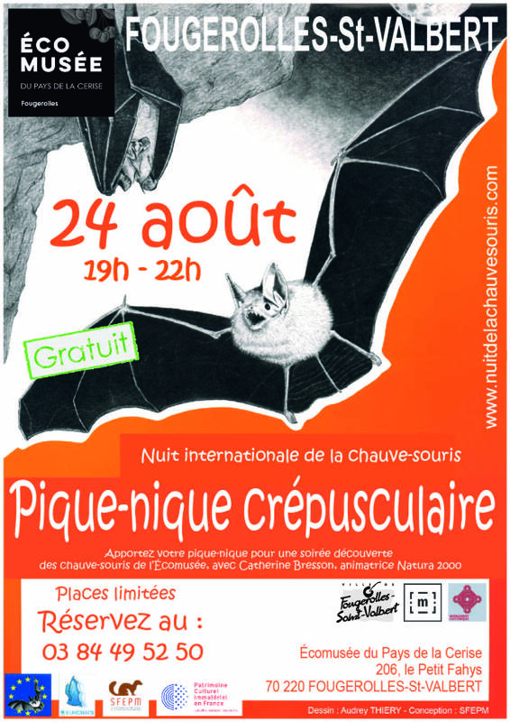 Nuit de la chauve-souris