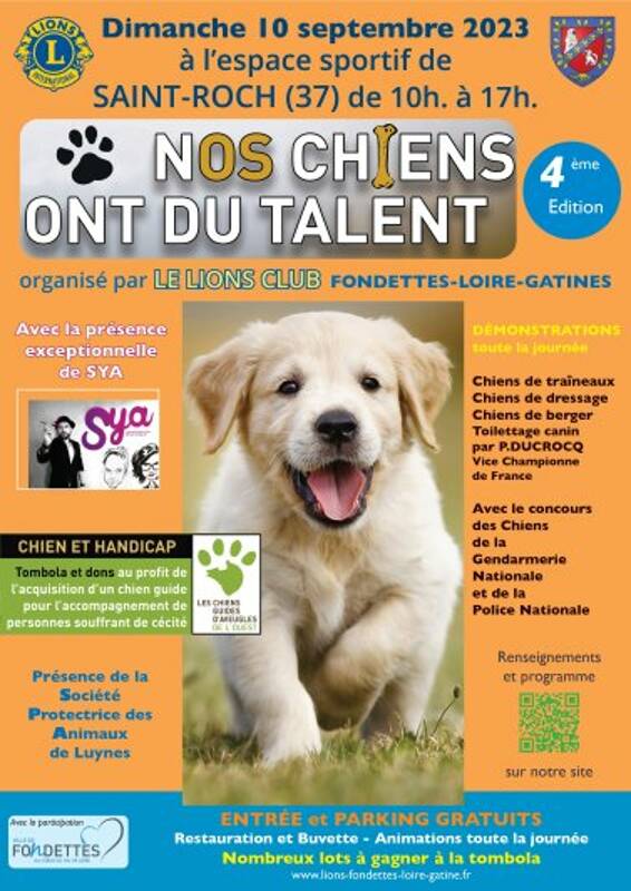 Nos chiens ont du talent