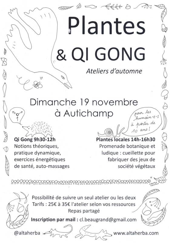 Plante & Qi Gong, ateliers d'automne