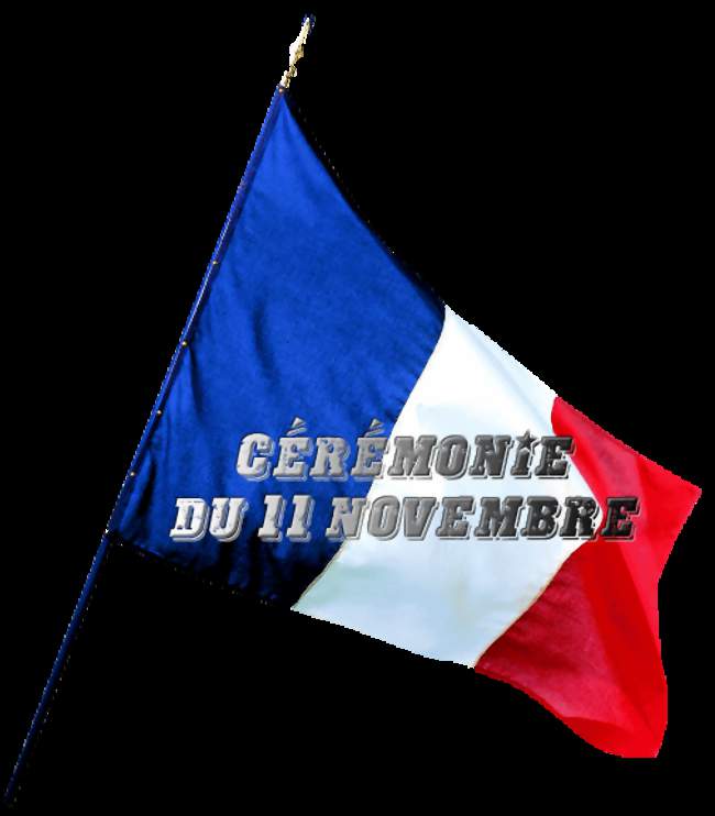 11 novembre