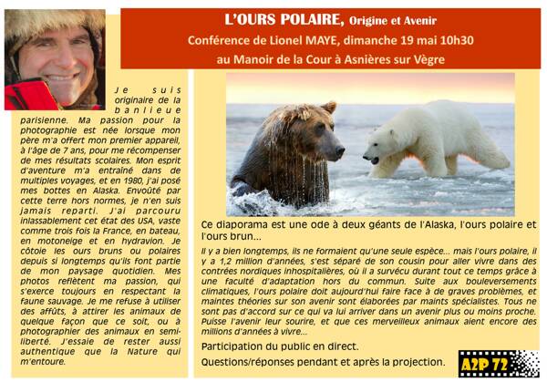 Conférence L’ours polaire, origine et avenir