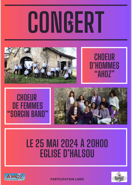 Concert AHOZ et SORGIN BAND