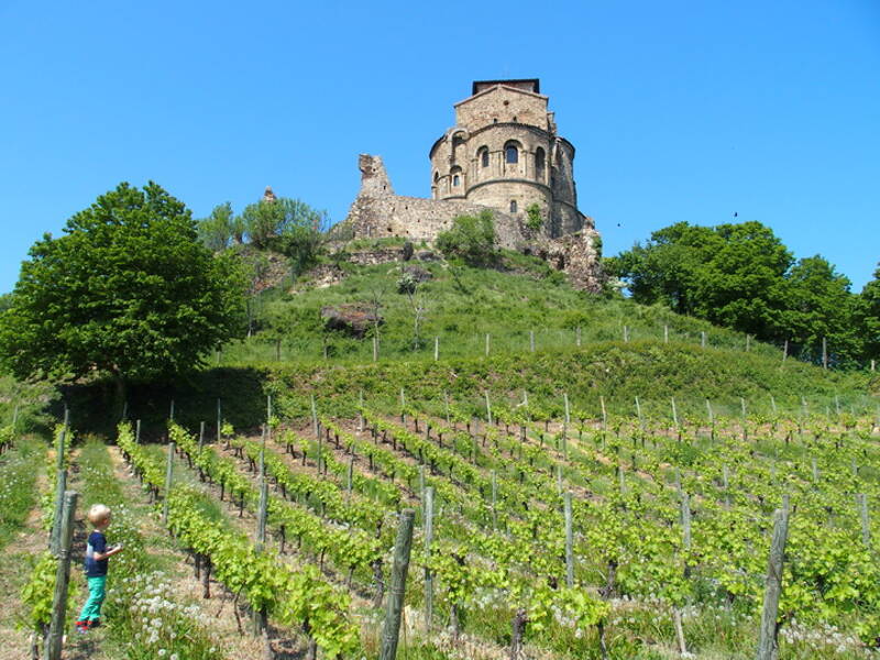 Forez'capades randonnée dans les vignes