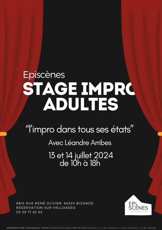 Stage Improvisation Adultes