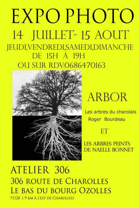 exposition photographique