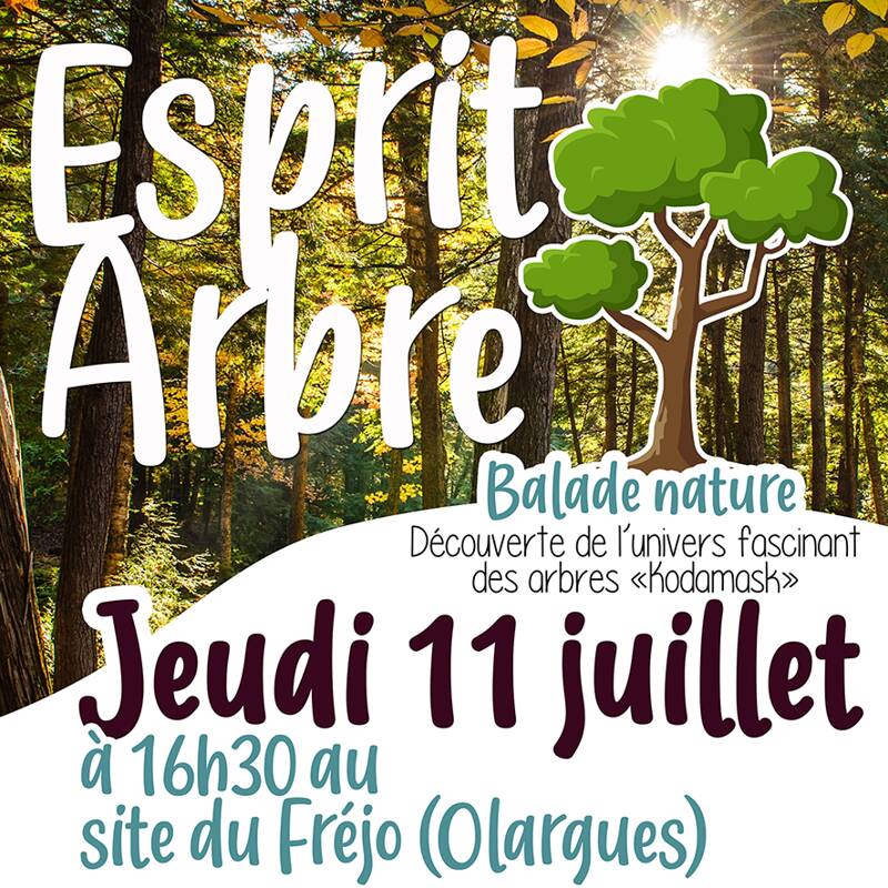 Esprit arbre