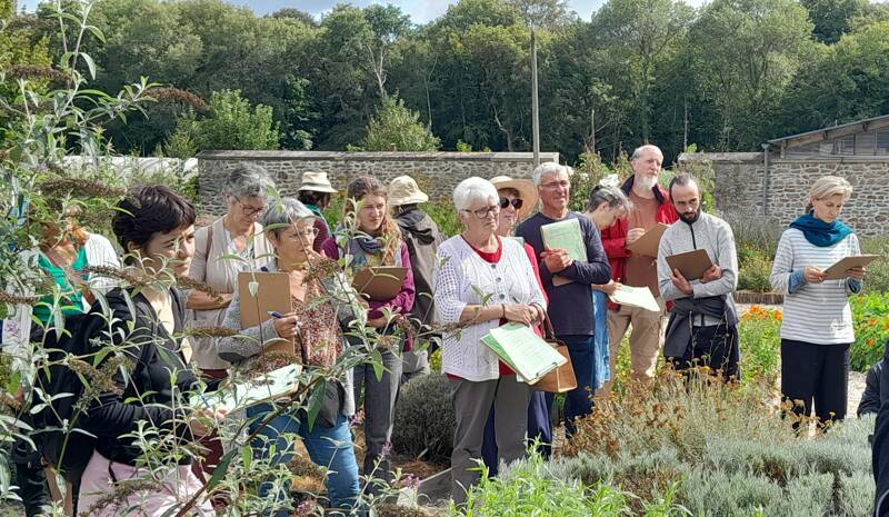 Atelier découverte des plantes aromatiques et médicinales