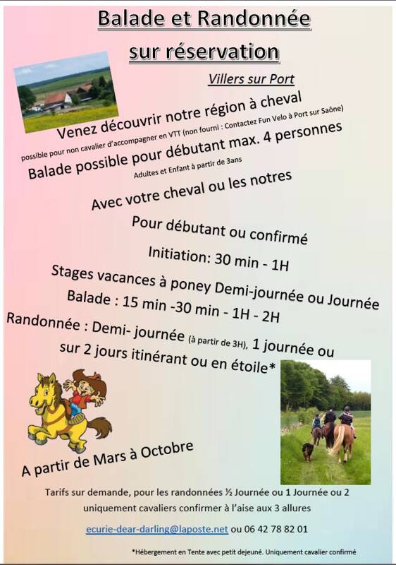 Activité à cheval ou poney