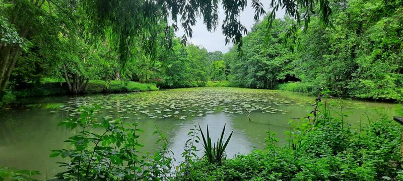 Balade découverte Herpétologique et Jardin de Biodiversité Vallée de Courtineau