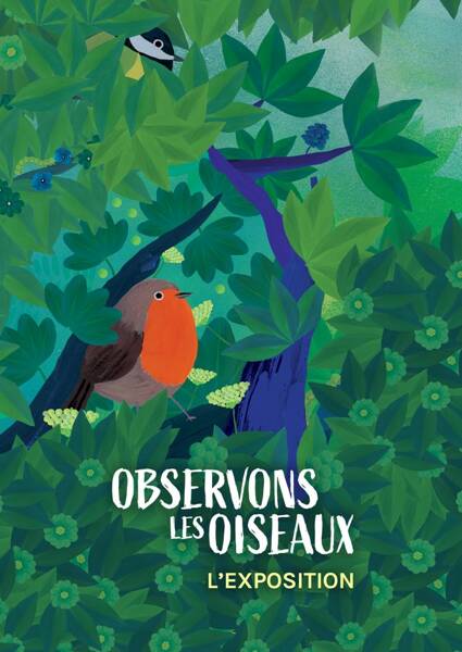 Observons les oiseaux