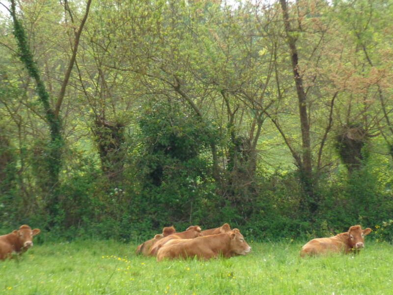 Les vieux métiers du Marais Poitevin, contes