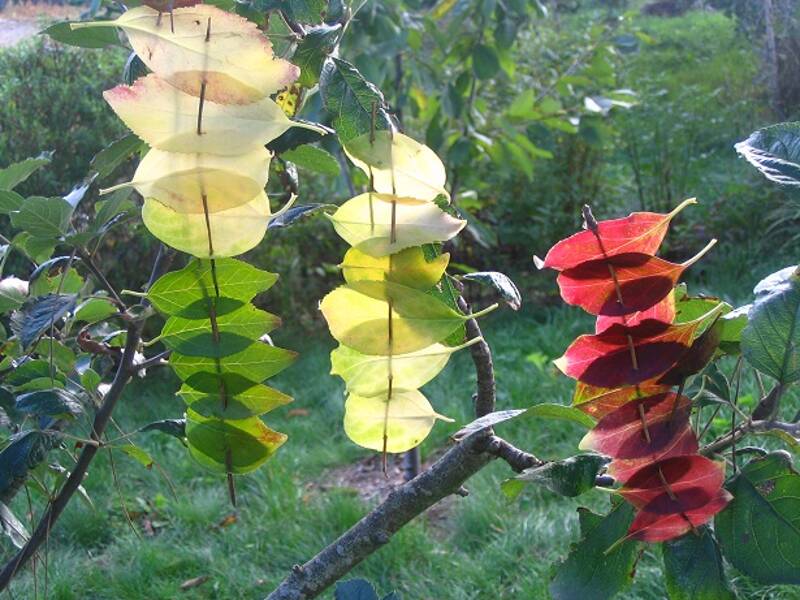 Causerie Land Art avec Karen Raccah