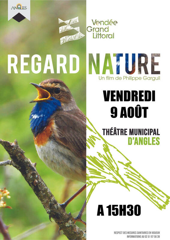 Projection Regard Nature