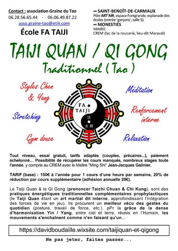 Animations Taiji Quan et Qi Gong (Taichi Chuan et Chi Kung), relaxation et méditation, gym douce et stretching