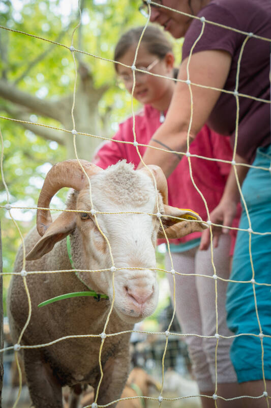 Ferme pédagogique au Jardin Partagé