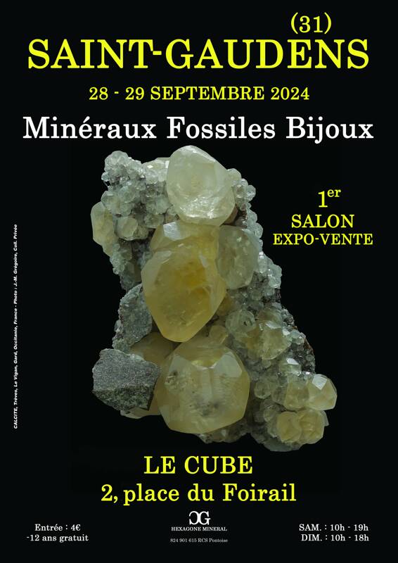 1er SALON MINERAUX FOSSILES BIJOUX de SAINT6GAUDENS (Haute-Garonne)