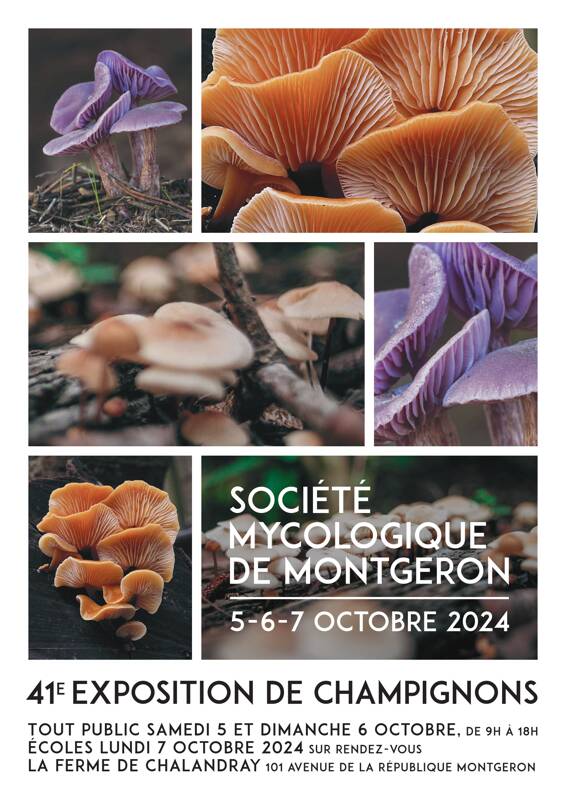 Exposition de Champignons