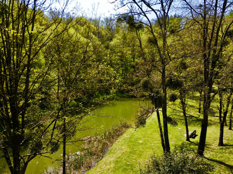 Visite guidée au Bois Noir à Aubin : sortie nature et patrimoine