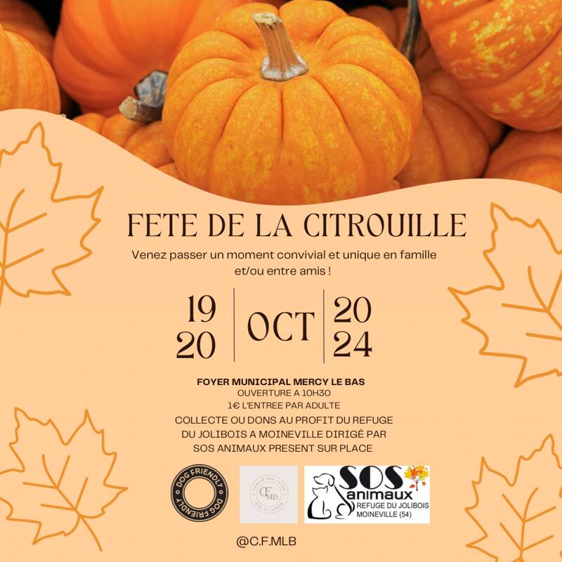 Fête de la citrouille