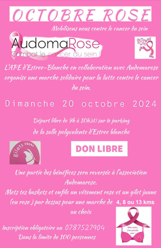 Marche solidaire Octobre rose