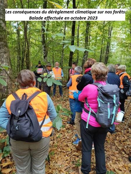 Les conséquences du dérèglement climatique sur nos forêts