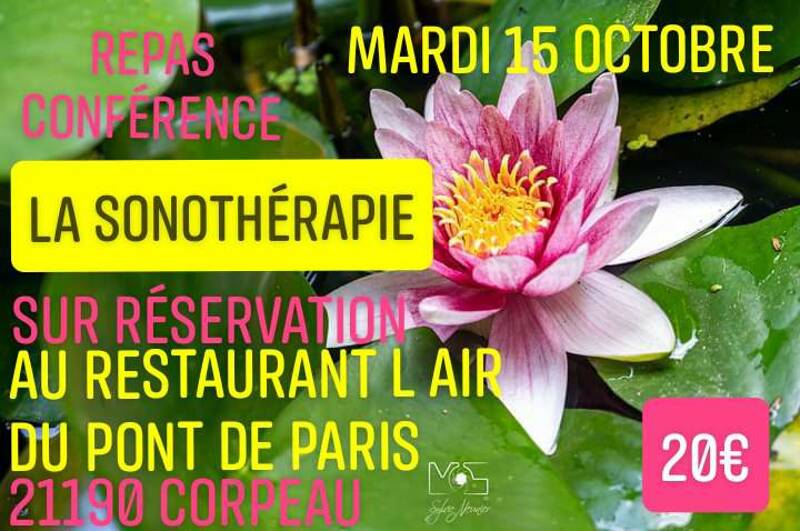 Repas Conférence Énergétique