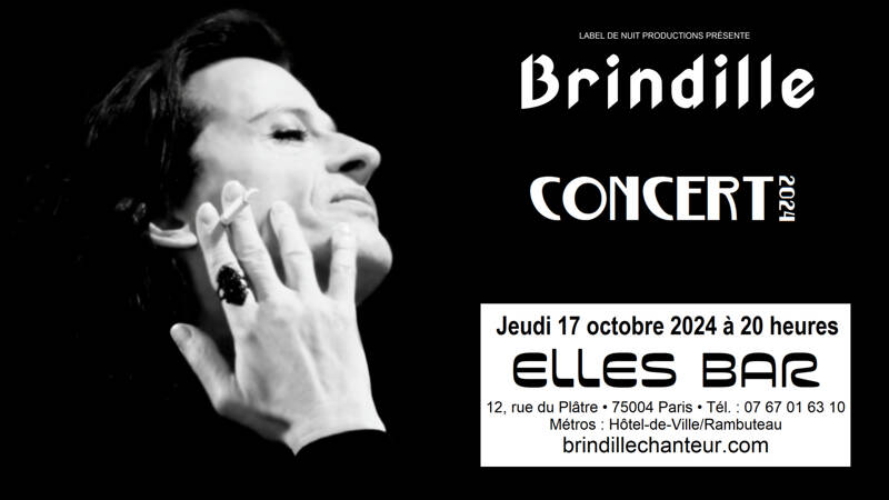 Brindille - Concert au Elles Bar