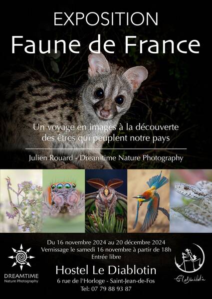 Exposition - La Faune de France 