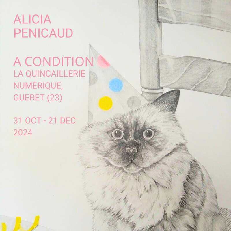 Alicia Pénicaud - Exposition -A condition