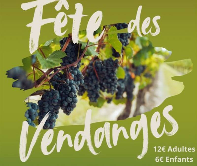 Fête des Vendanges au Domaine de Treille